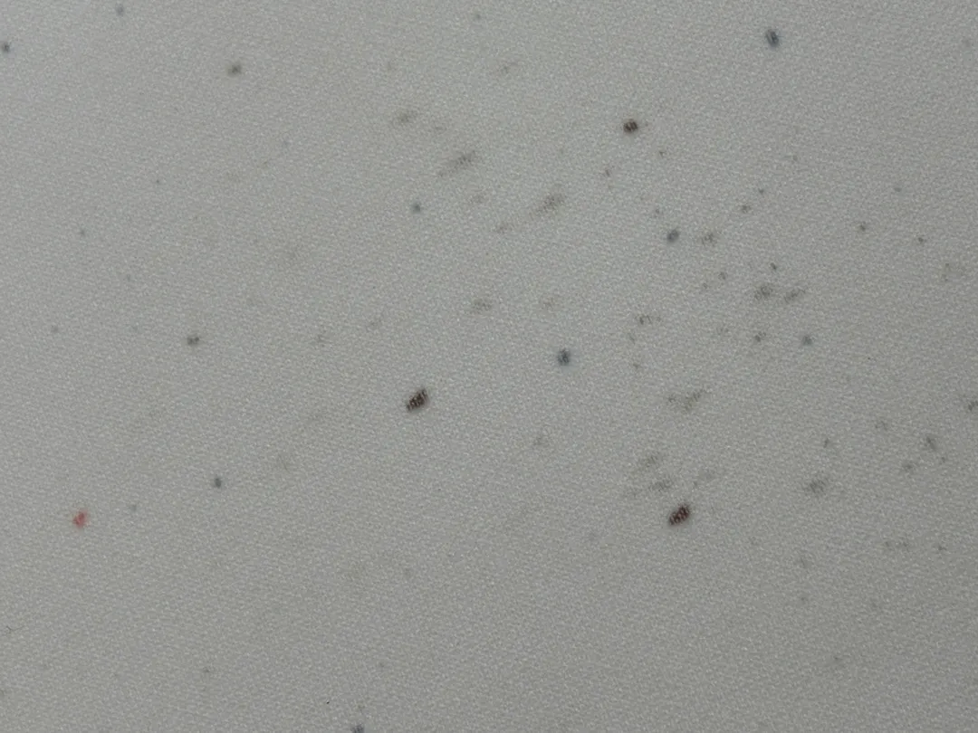 놀이매트 곰팡이인가요 ?