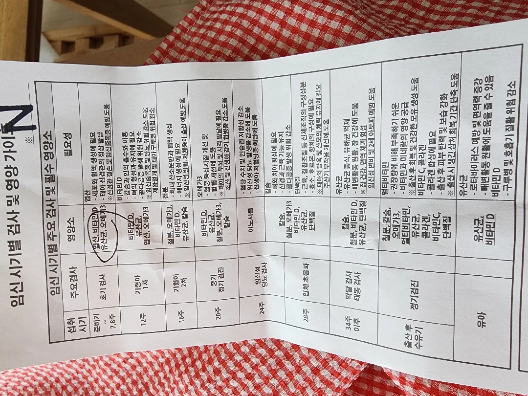 주수별 영양제 정보 !
