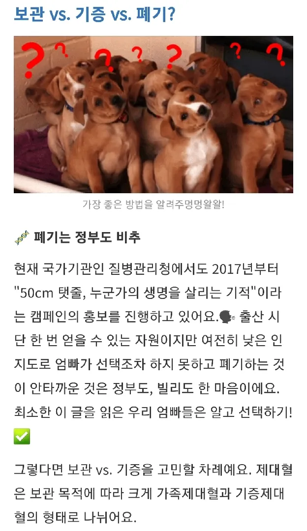 빌리 아래에 뜨는 정보 중 제대혈 !