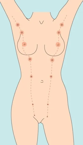 부유방, 부유두.... 생기신분 있나요?