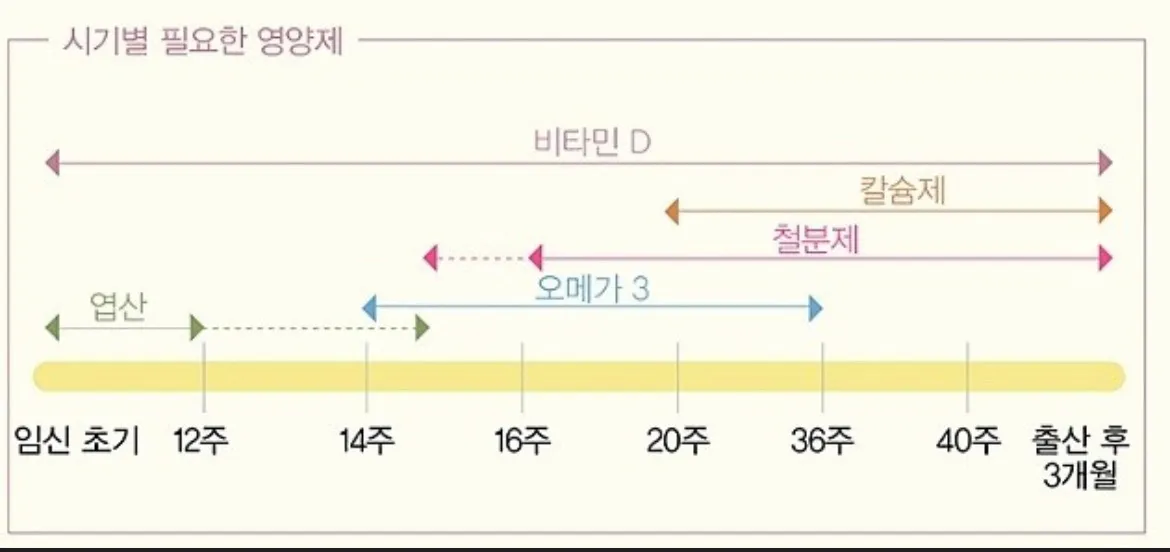 영양제.주수별로 참고해서보셔요