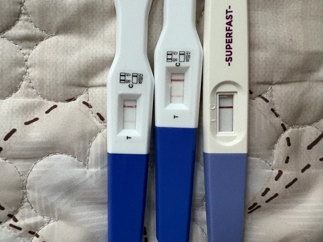 임테기좀 봐주세요 ㅠㅠ