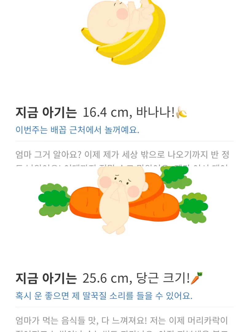20주에서21주 일주일사이 이정도로.크나요?