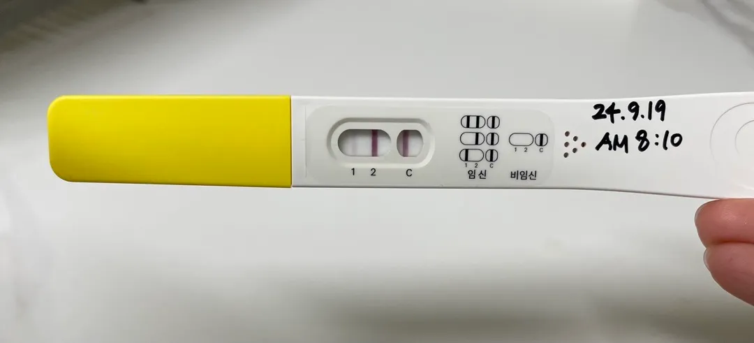 파이널임테기 / 아기집, 난황
