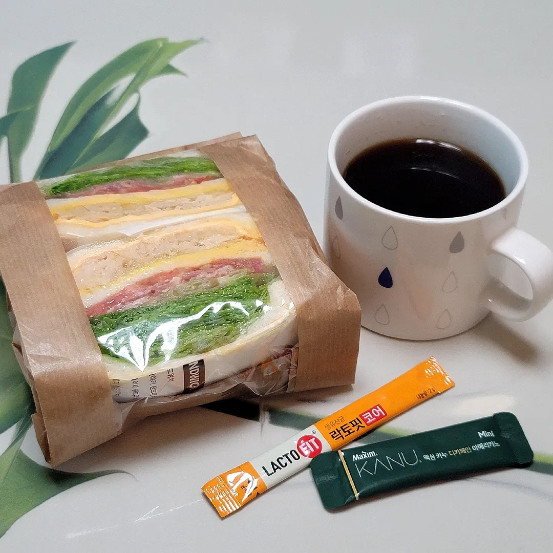 임신5개월차 점심입니다😁🌯