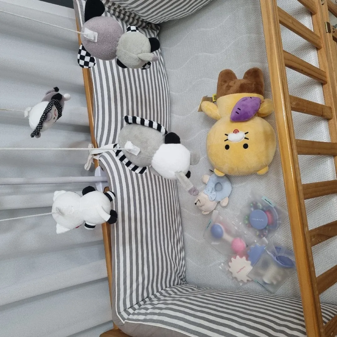 배 안이 정신 사나워요..😓😓