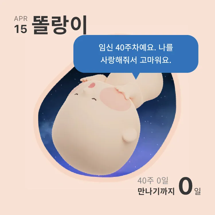 결국 40주까지 왔네요 🔥
