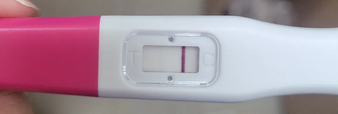 테스트기 한번 봐주세요🥲