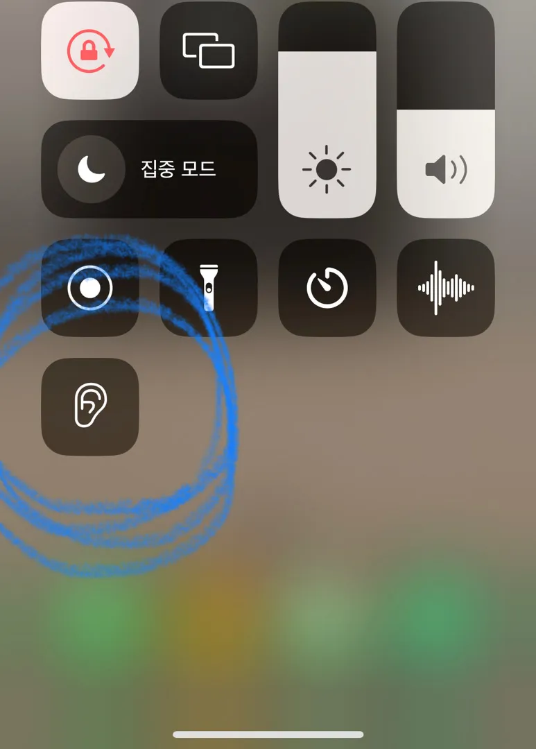 아이폰/에어팟 으로 태아 심장소리 들었어요!