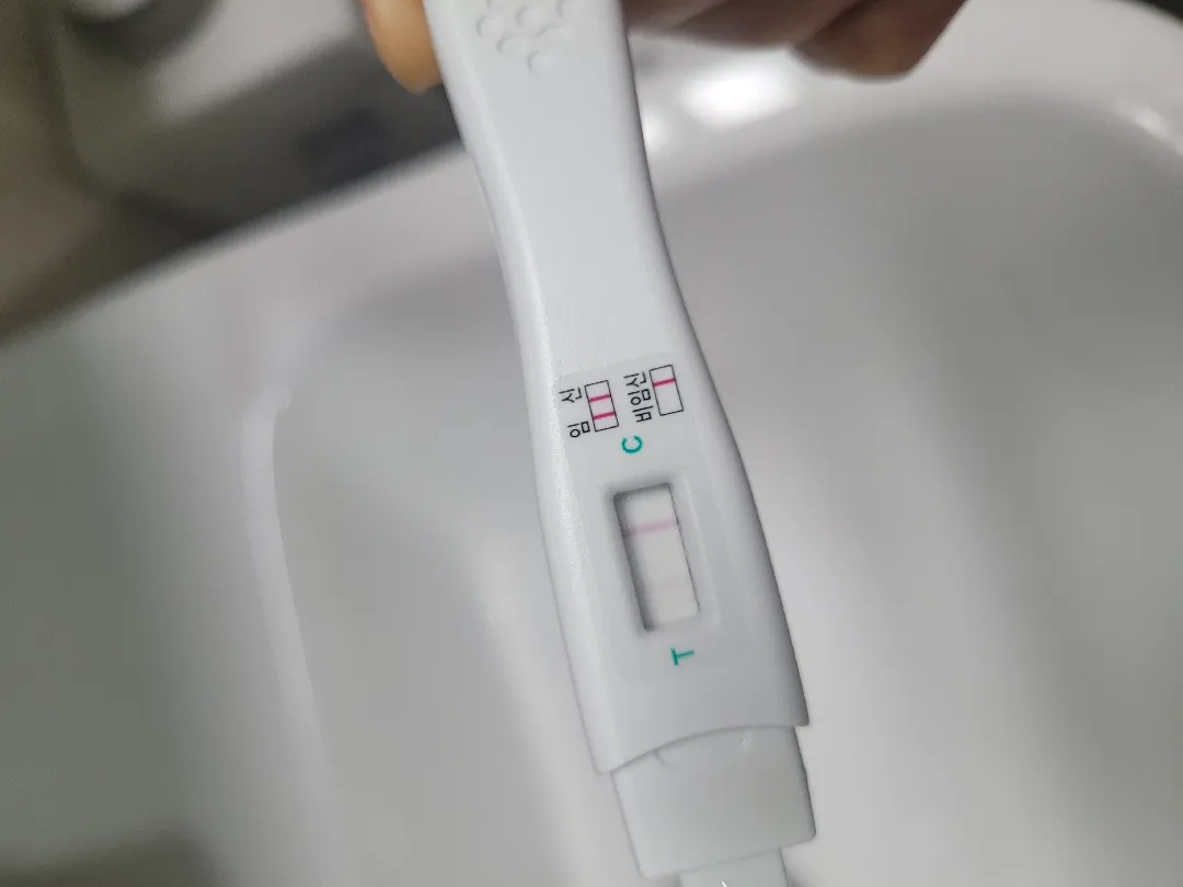 임신 맞을까요...?
