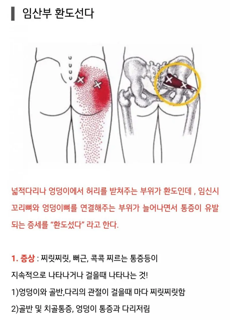 환도선다