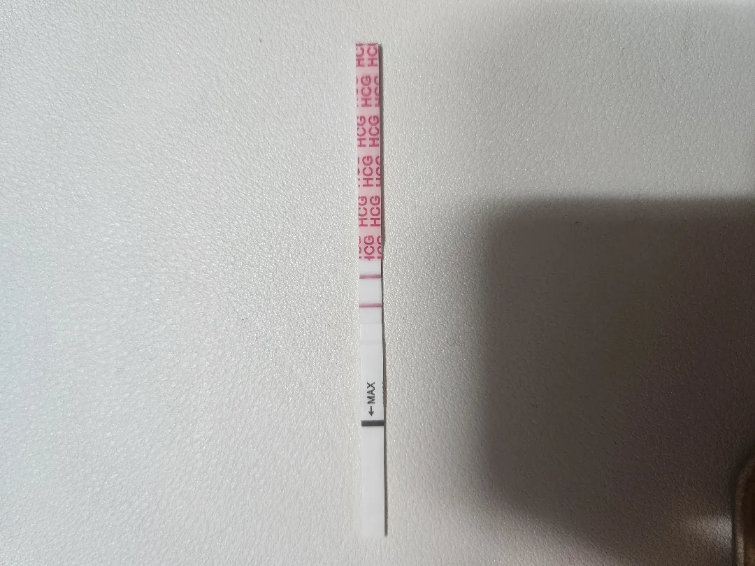 (4주 6일 배란+19) 임테기 역전 맞나요?