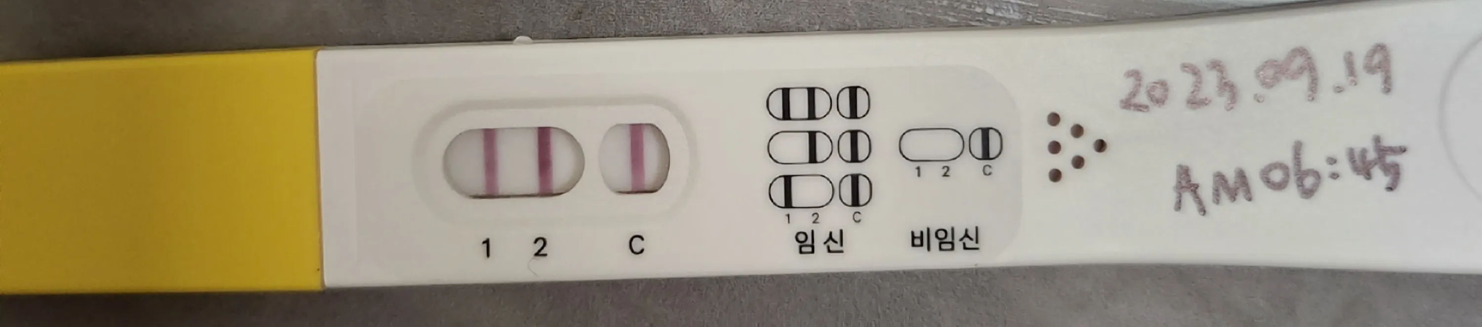 파이널테스트기 문의