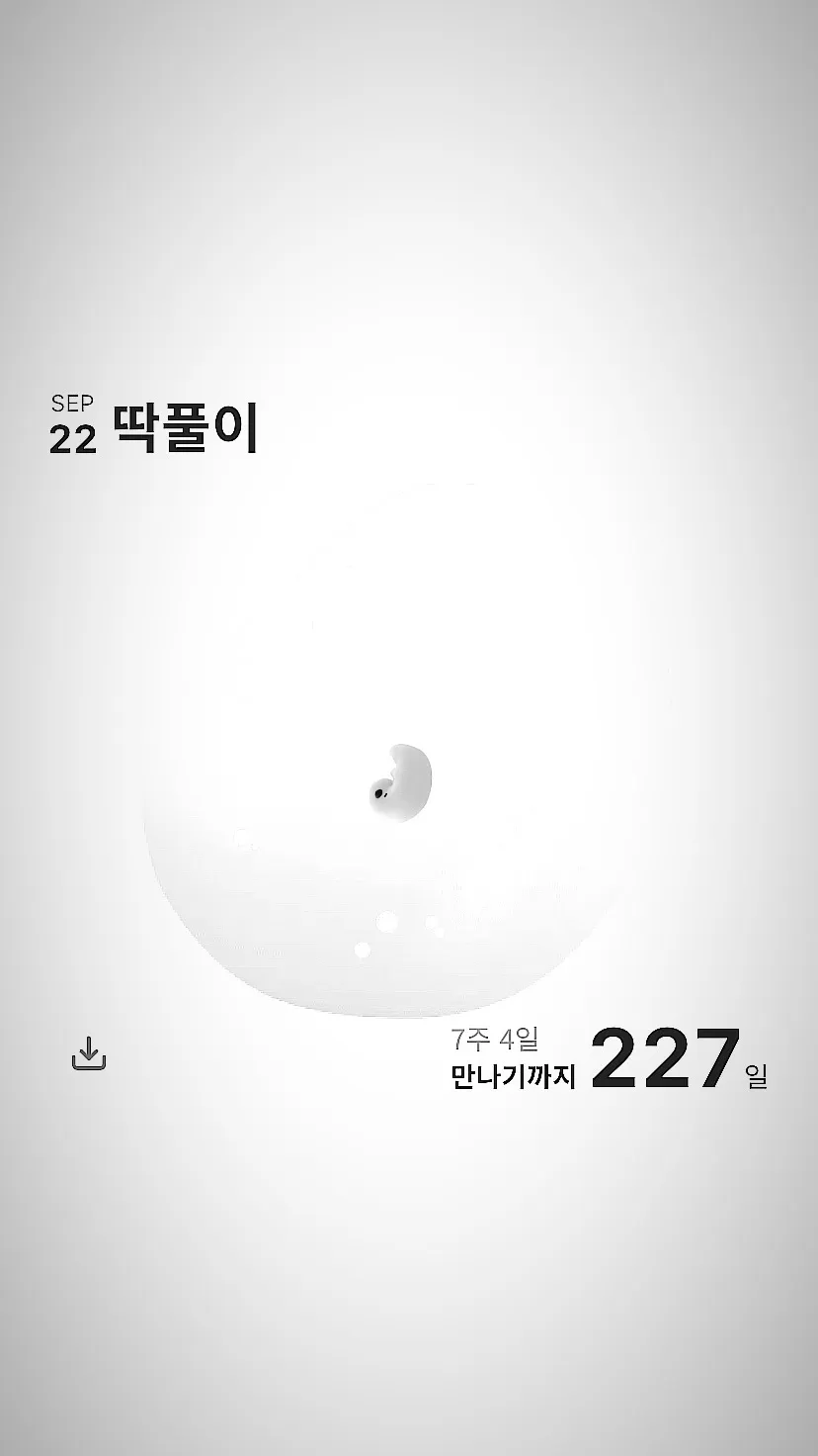 저에겐 기적이였던 1차 시험관 종결