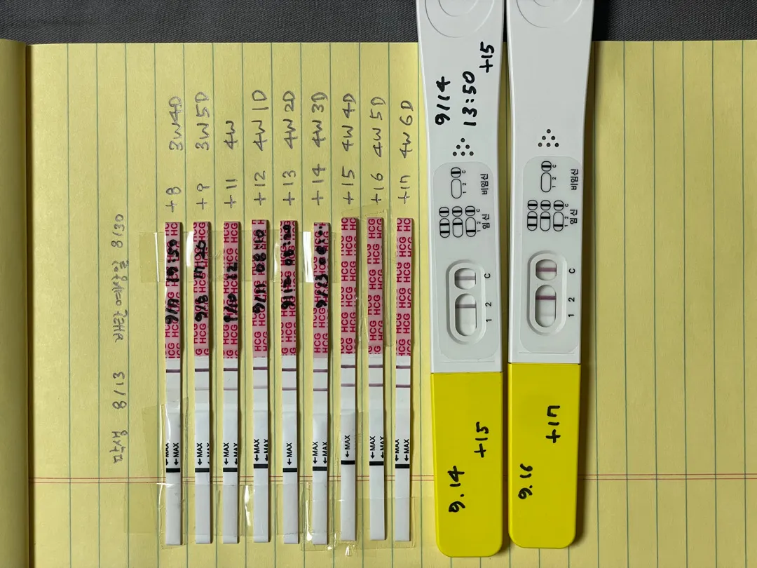 원포 역전 맞을까요?