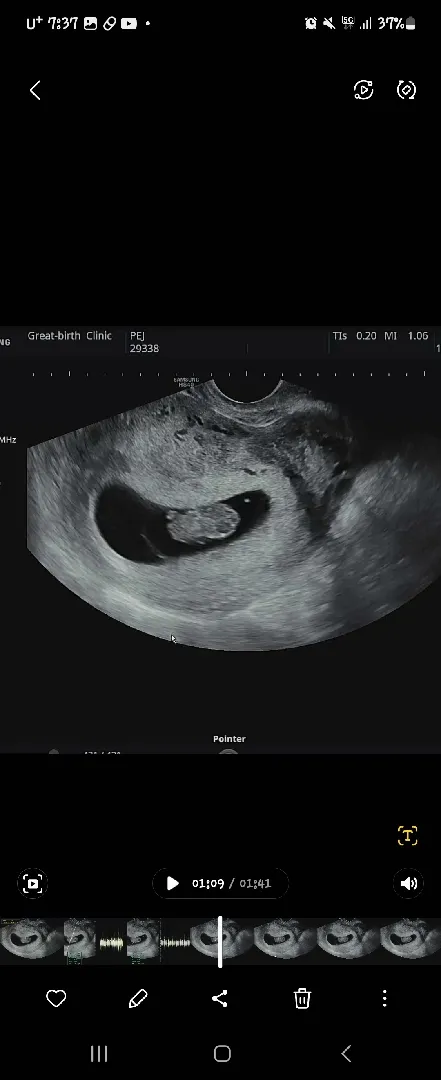 8주5일