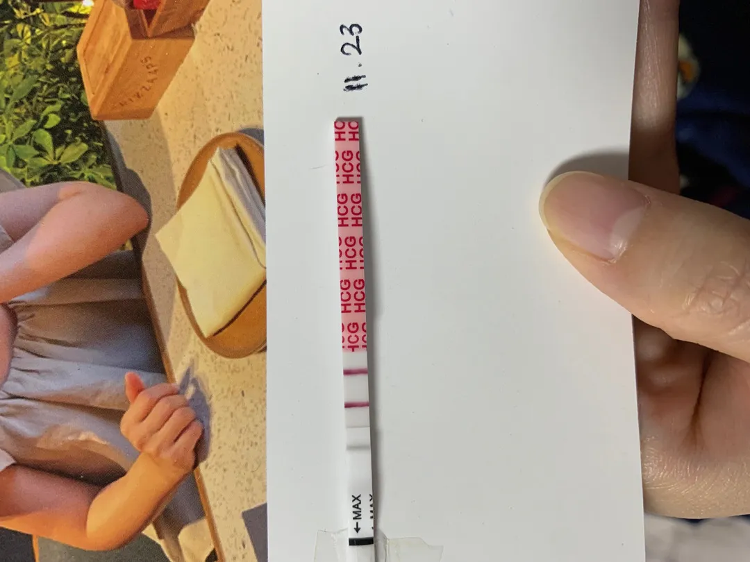 아기집 보일까요? 한번 봐주세요 🙏