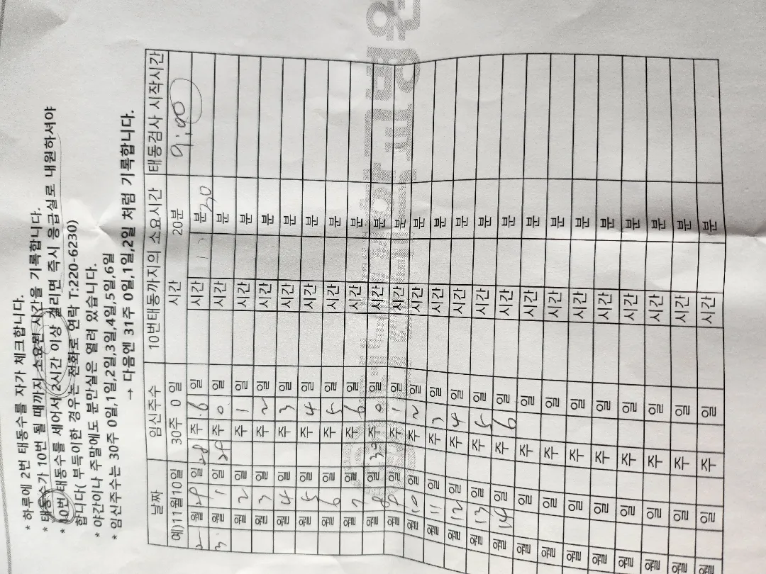 태동자가검사