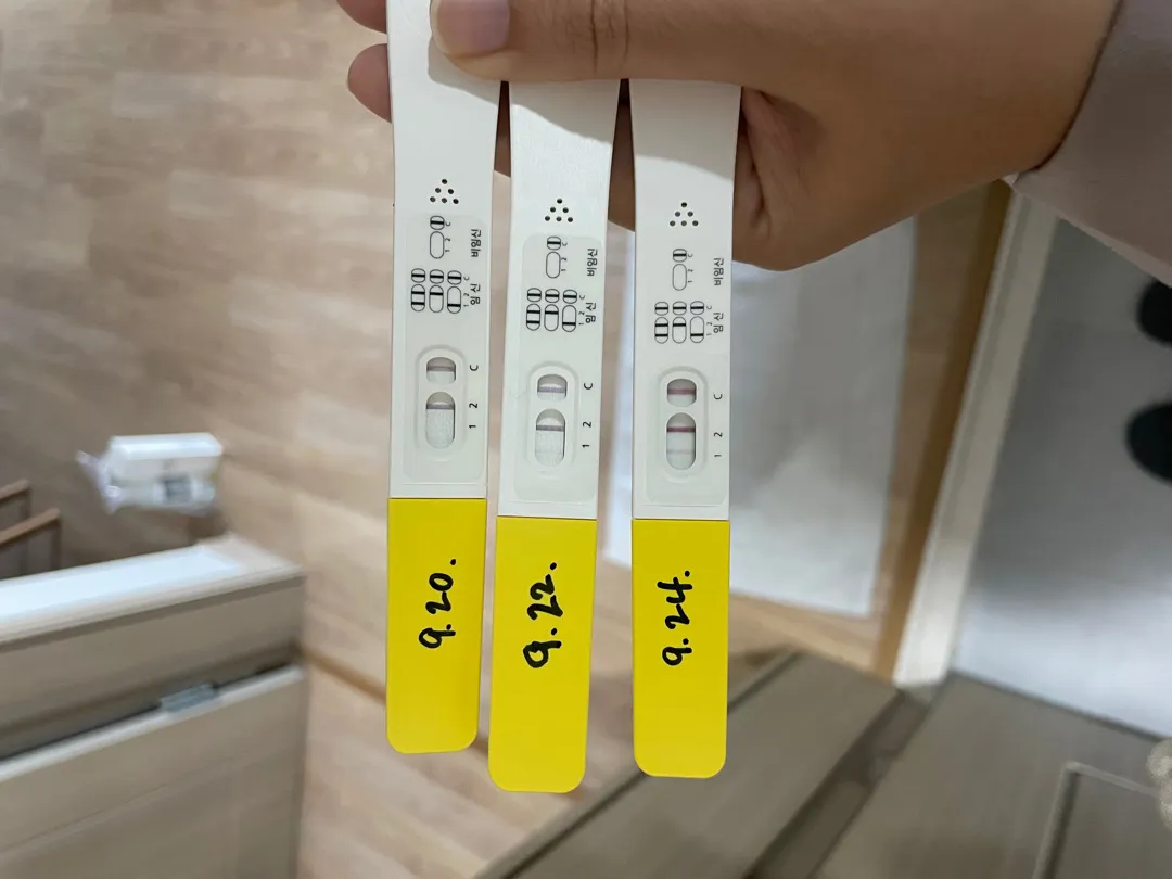 아기집은 언제쯤 보일까요?
