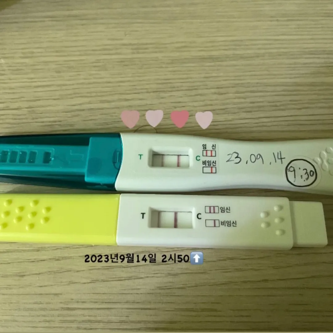 임신이 맞겠죠..?