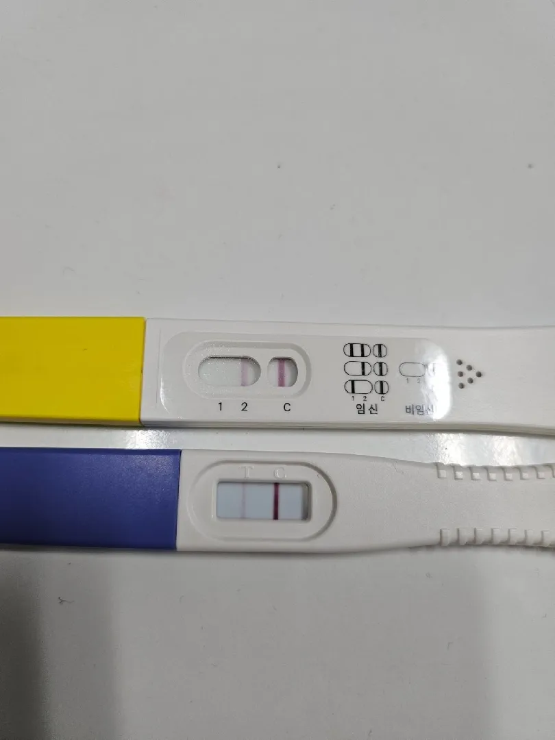 막생시작 4주1일차인데 임테기 반응 봐주세요
