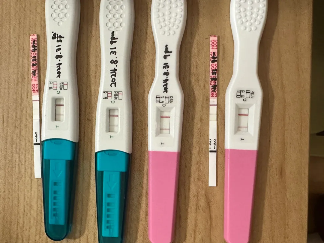 얼른 아가집이 보였음 좋겠어요