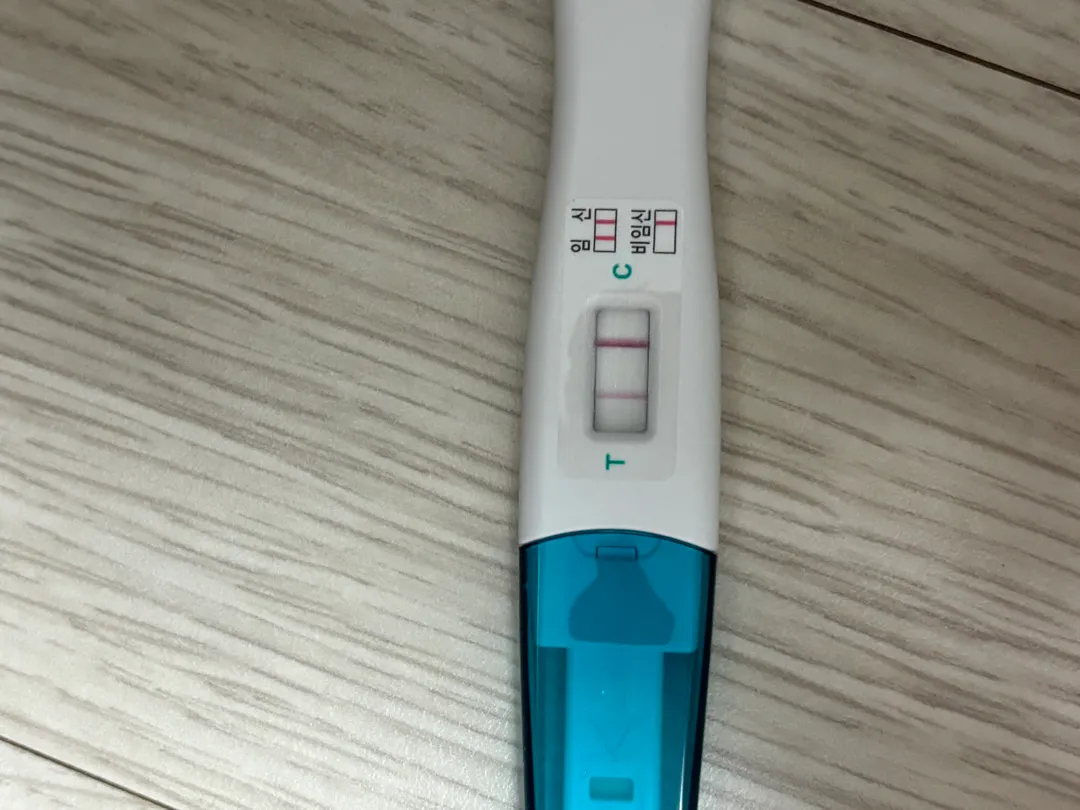 임테기 두줄 피검 더블링