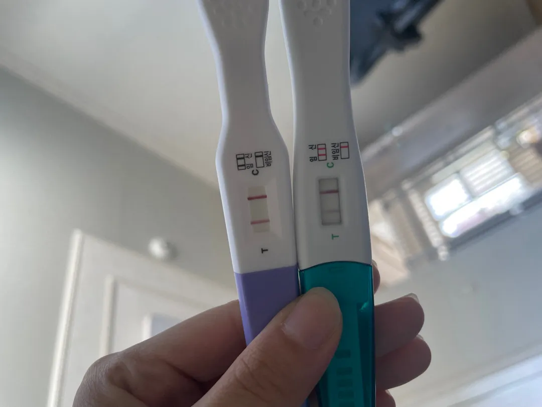 임테기 연해짐