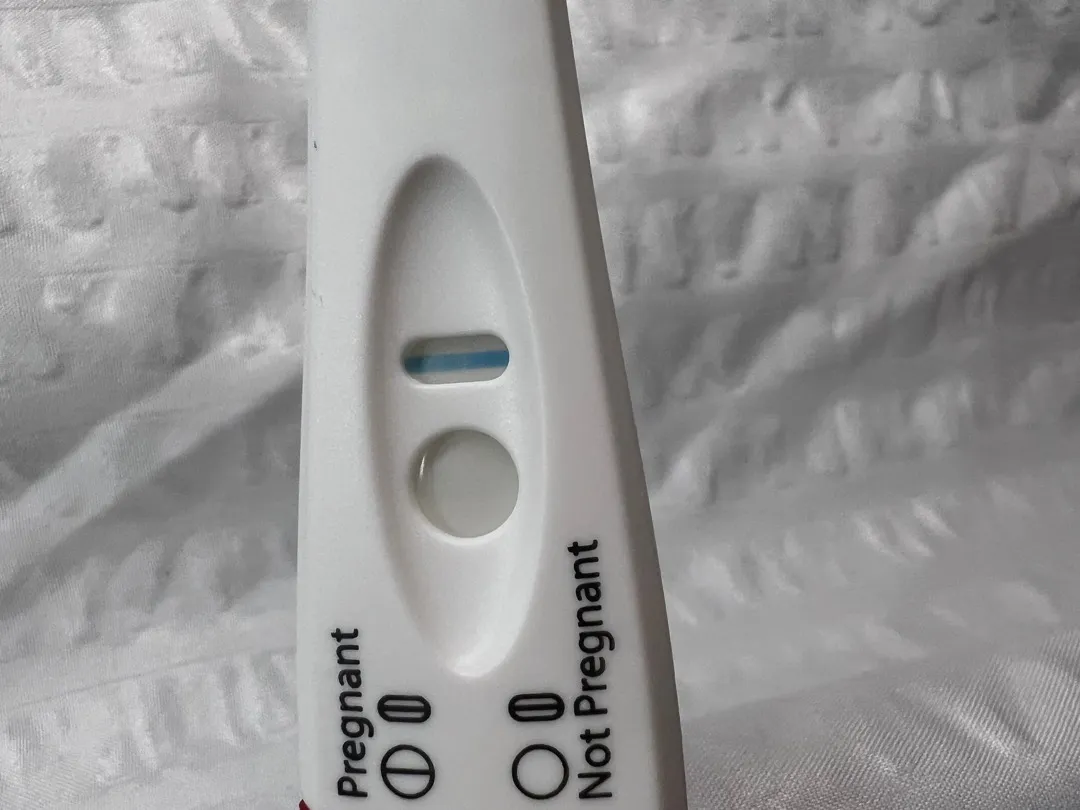 시약선 일까요..? ㅠ