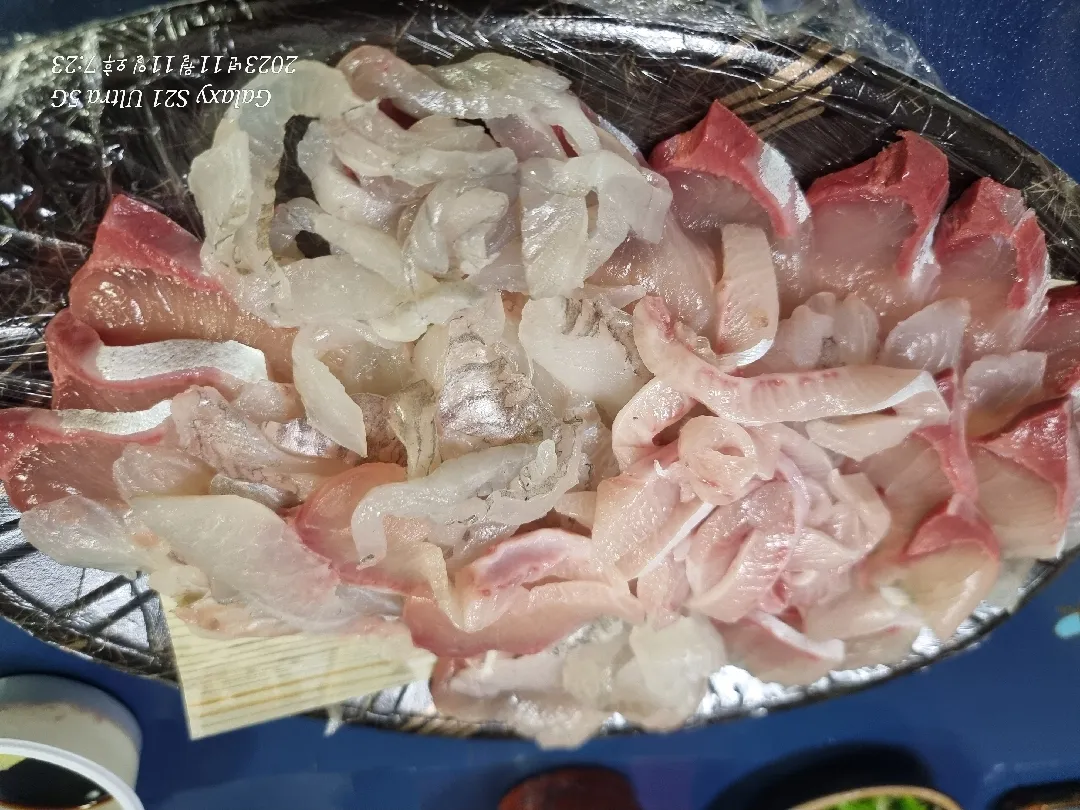 회를 한좁시 먹었네요 ㅎㅎ 