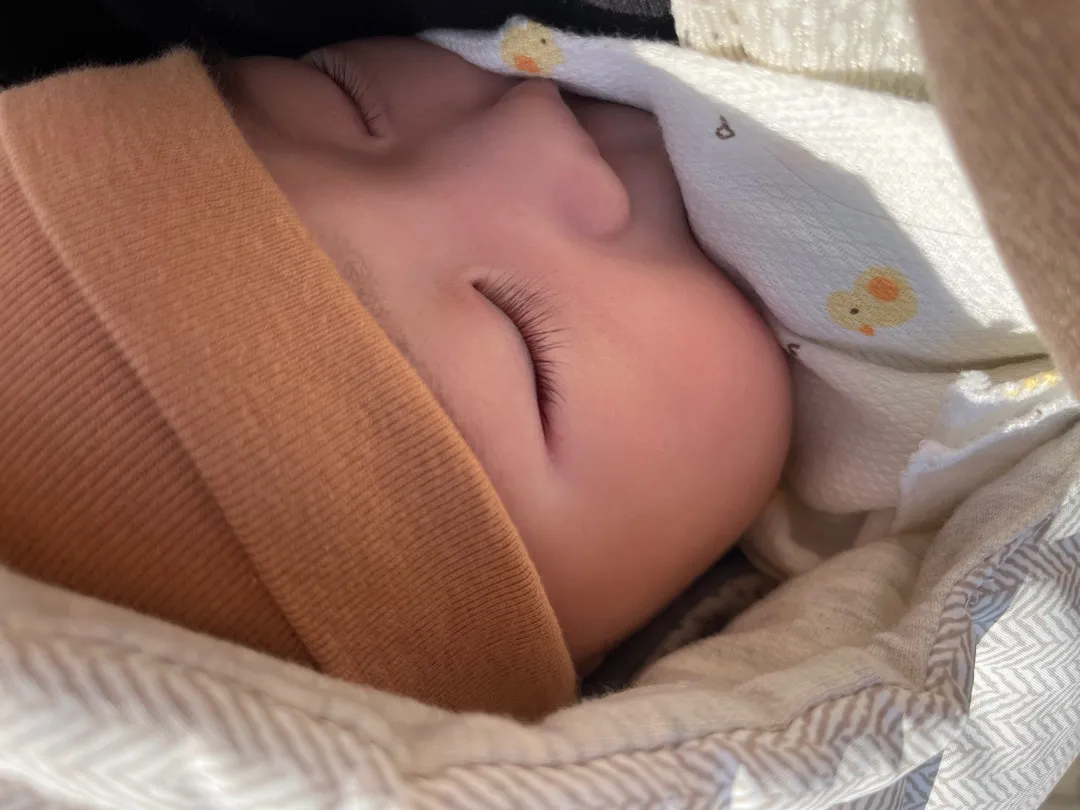 산책 언제 가시나요?