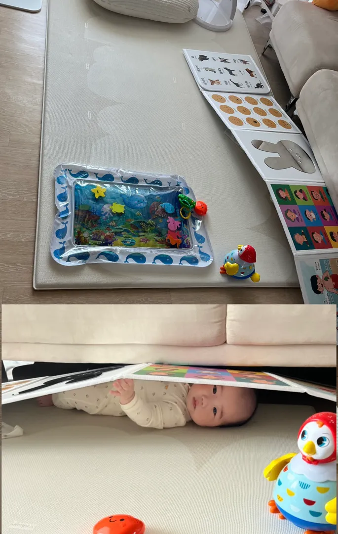 숨바꼭질 시작!