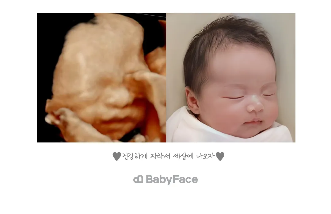 베이비페이스 유료버전 받았어요ㅎ