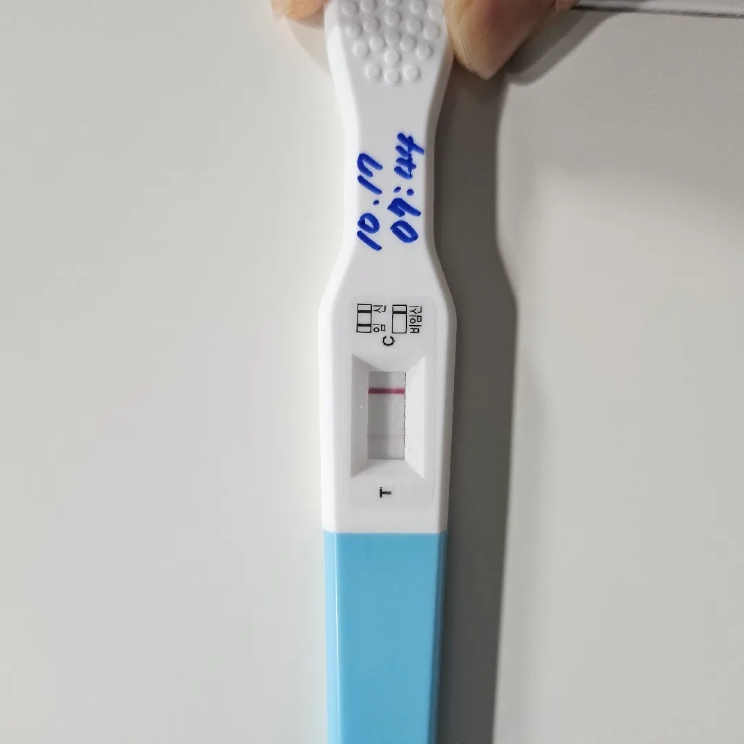 임테기 결과 봐주세요!