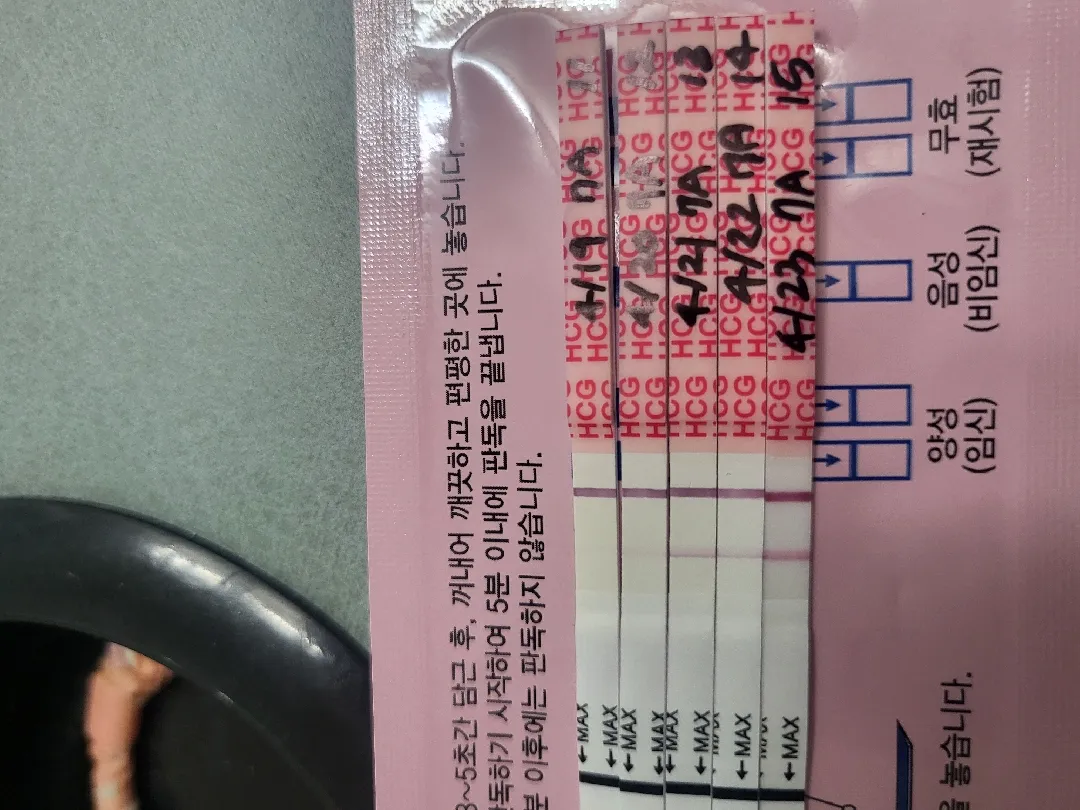배란15일차