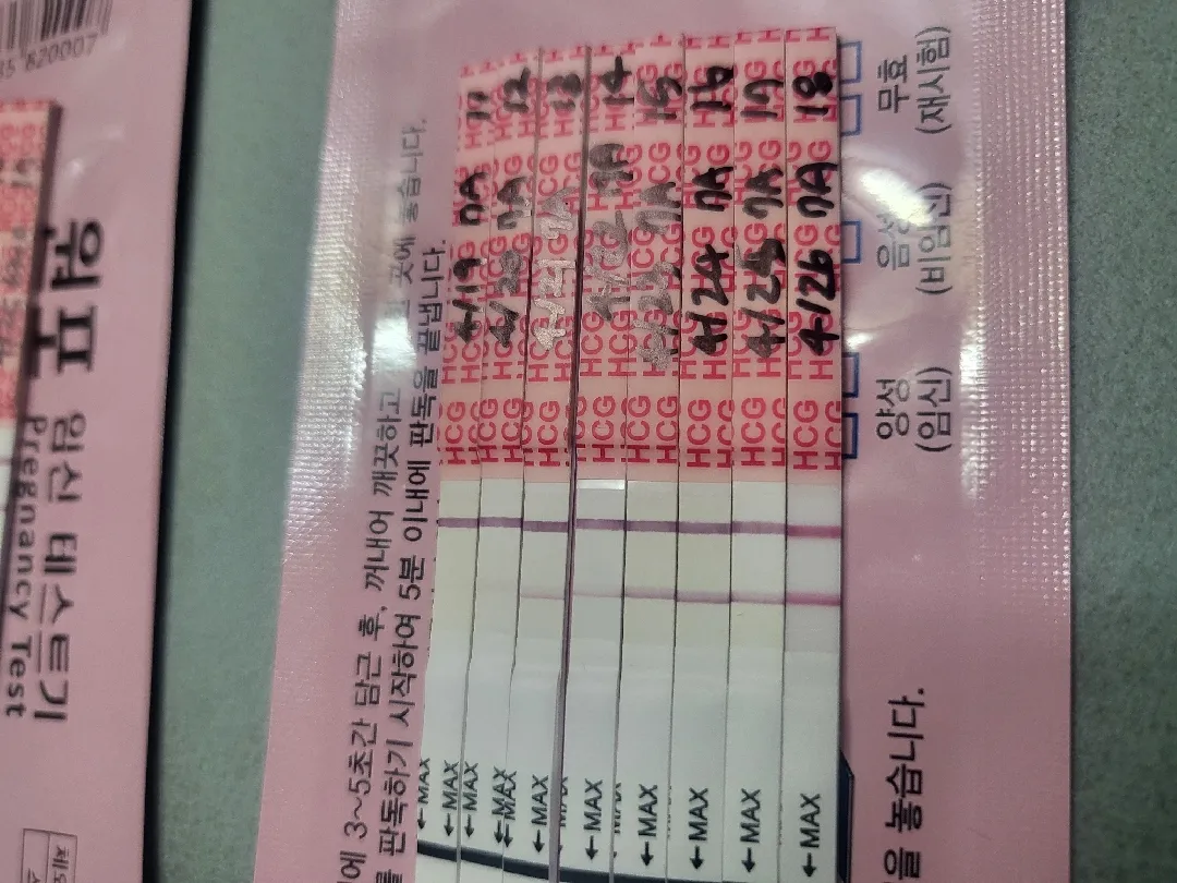 배란18일차