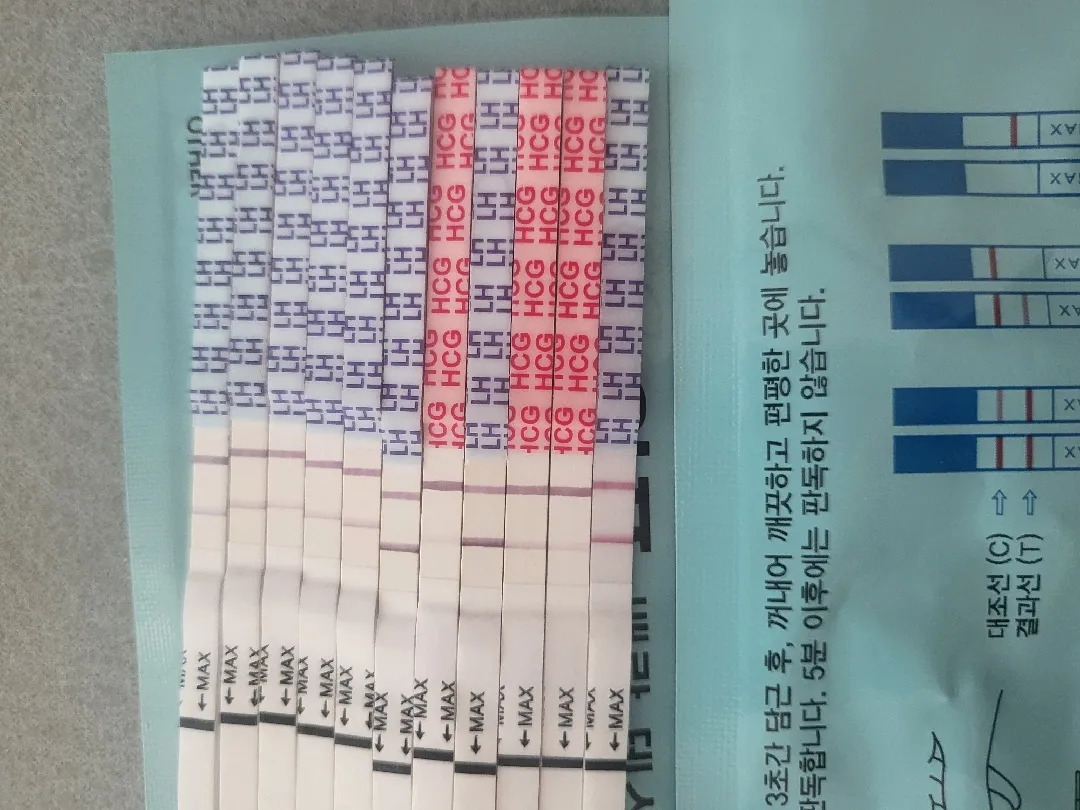 착상주사3일차 