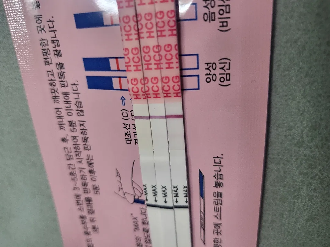 배란12일차