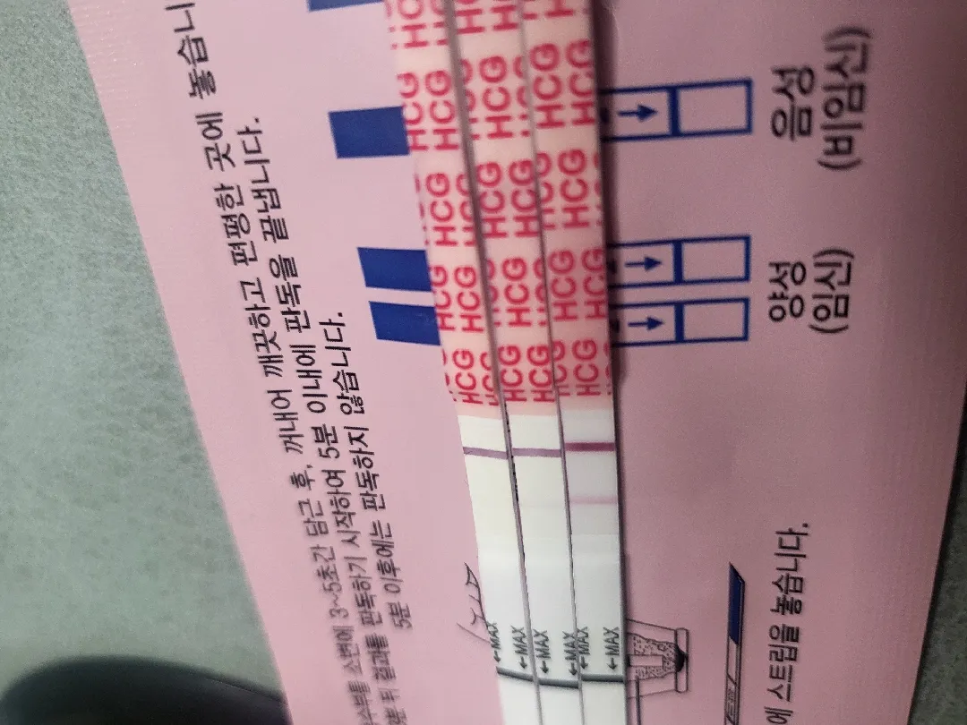 배란13일차