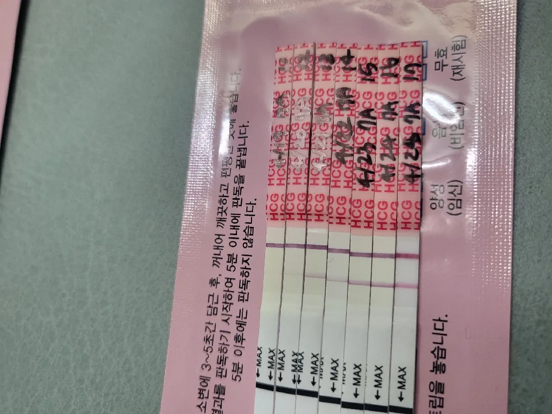 배란17일차