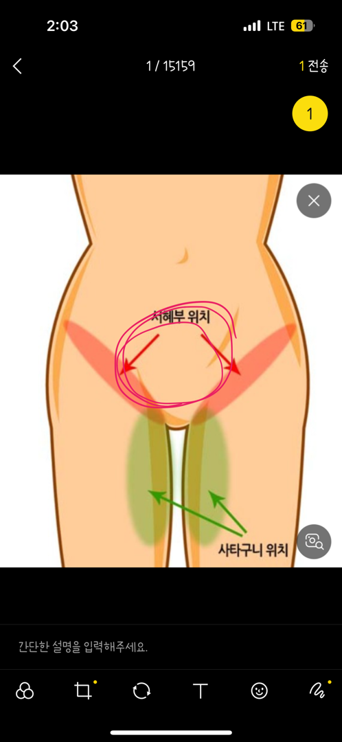 태동이 여기서 느껴지는데 상관없나요...?