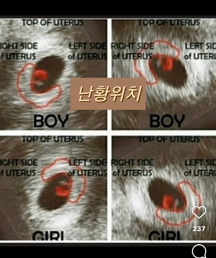 재미로보세요 ㅎㅎ
