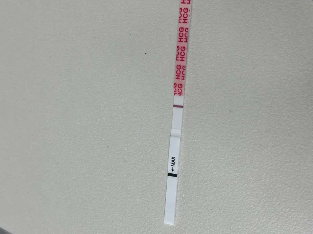 원포 테스트기