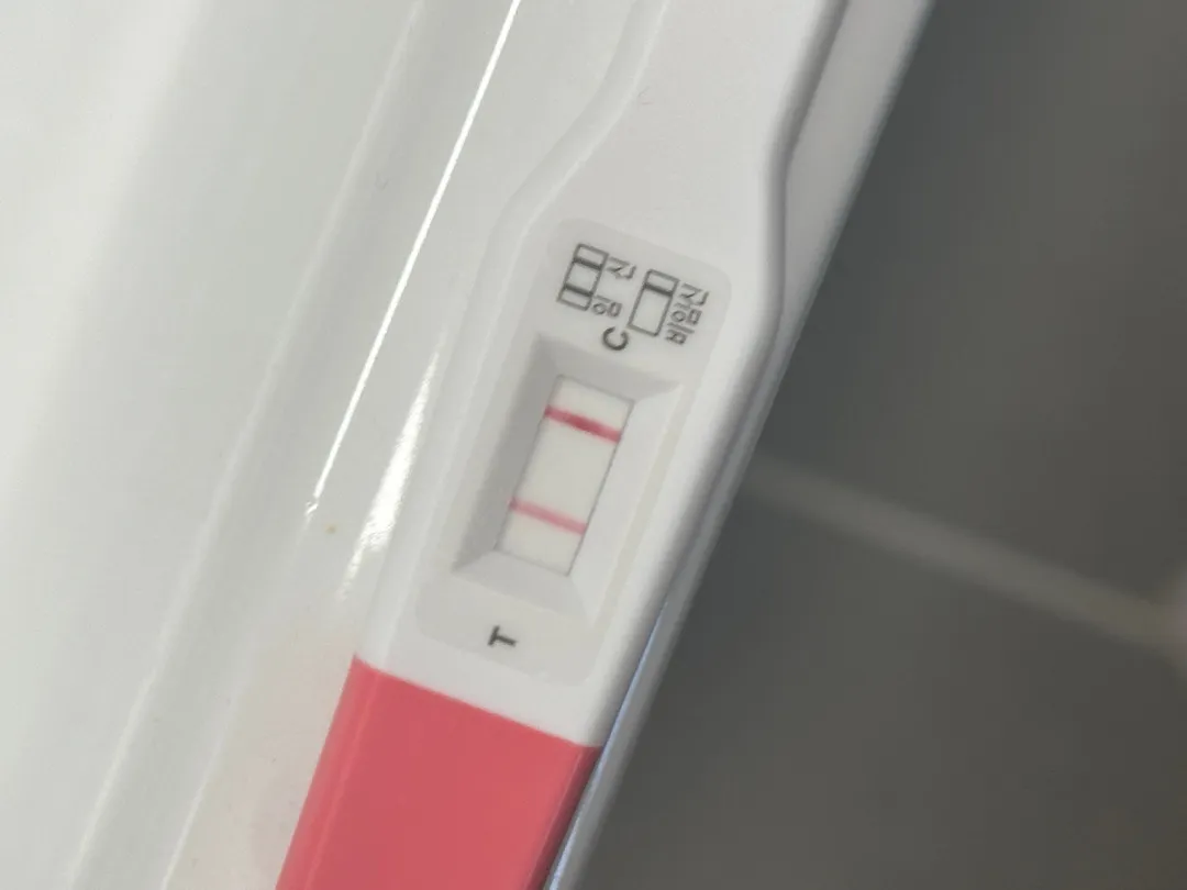 맞죠..? 맞는 거져..?