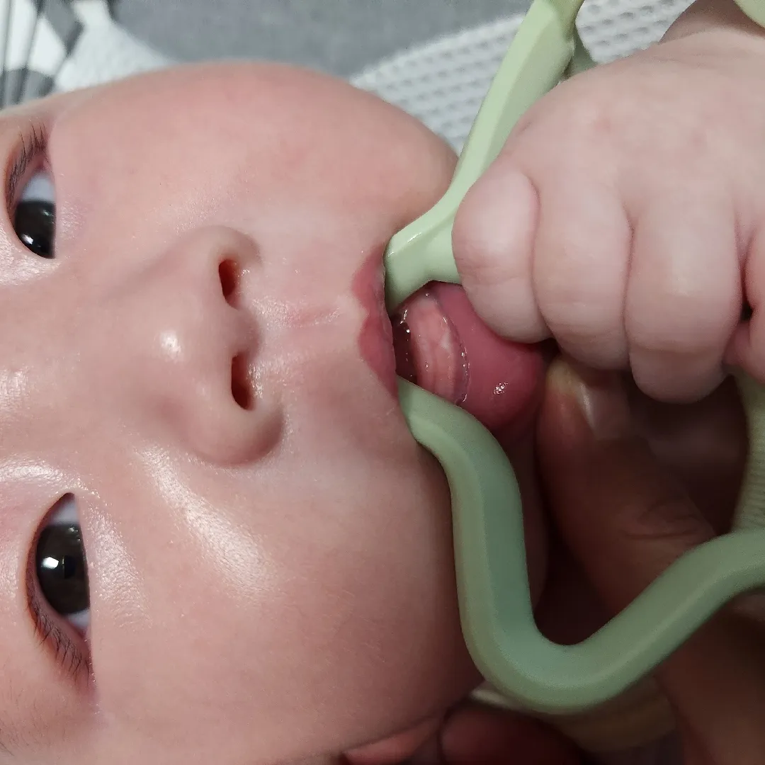 이나려고 하는건가요??