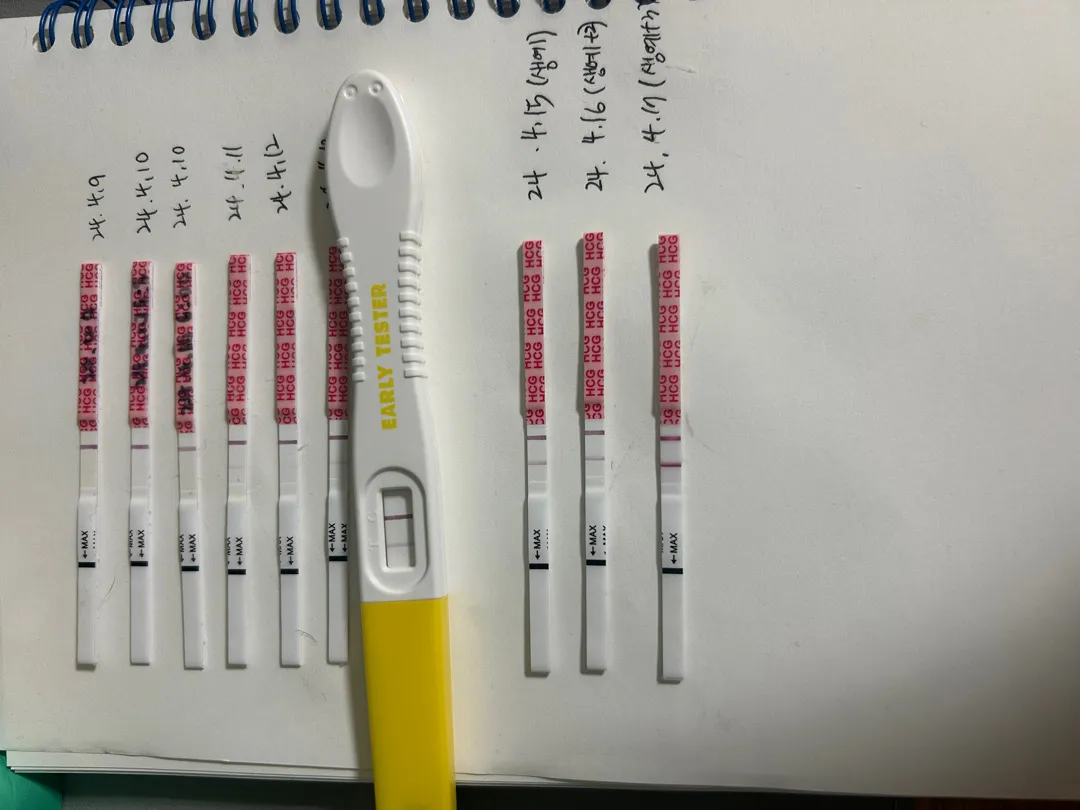 임신시기 언제쯤 알리셨나요??(네이버 4주5일)