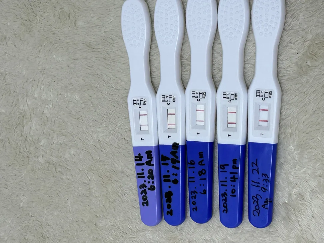 담주에 초음파할구있겠죠?