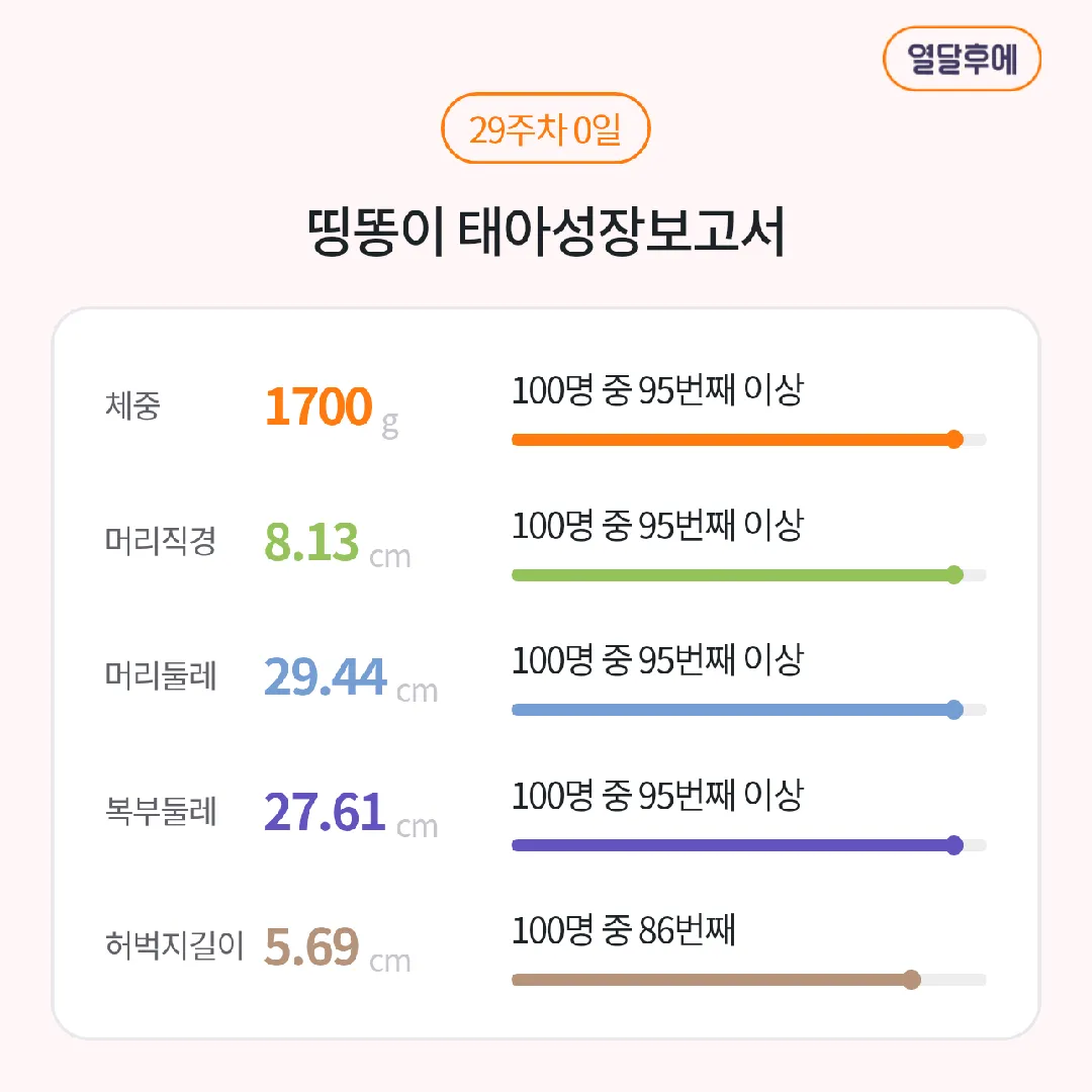 29주 대학병원 전원했는데 애기가 커서 이미 통과한 임당 재검했어요