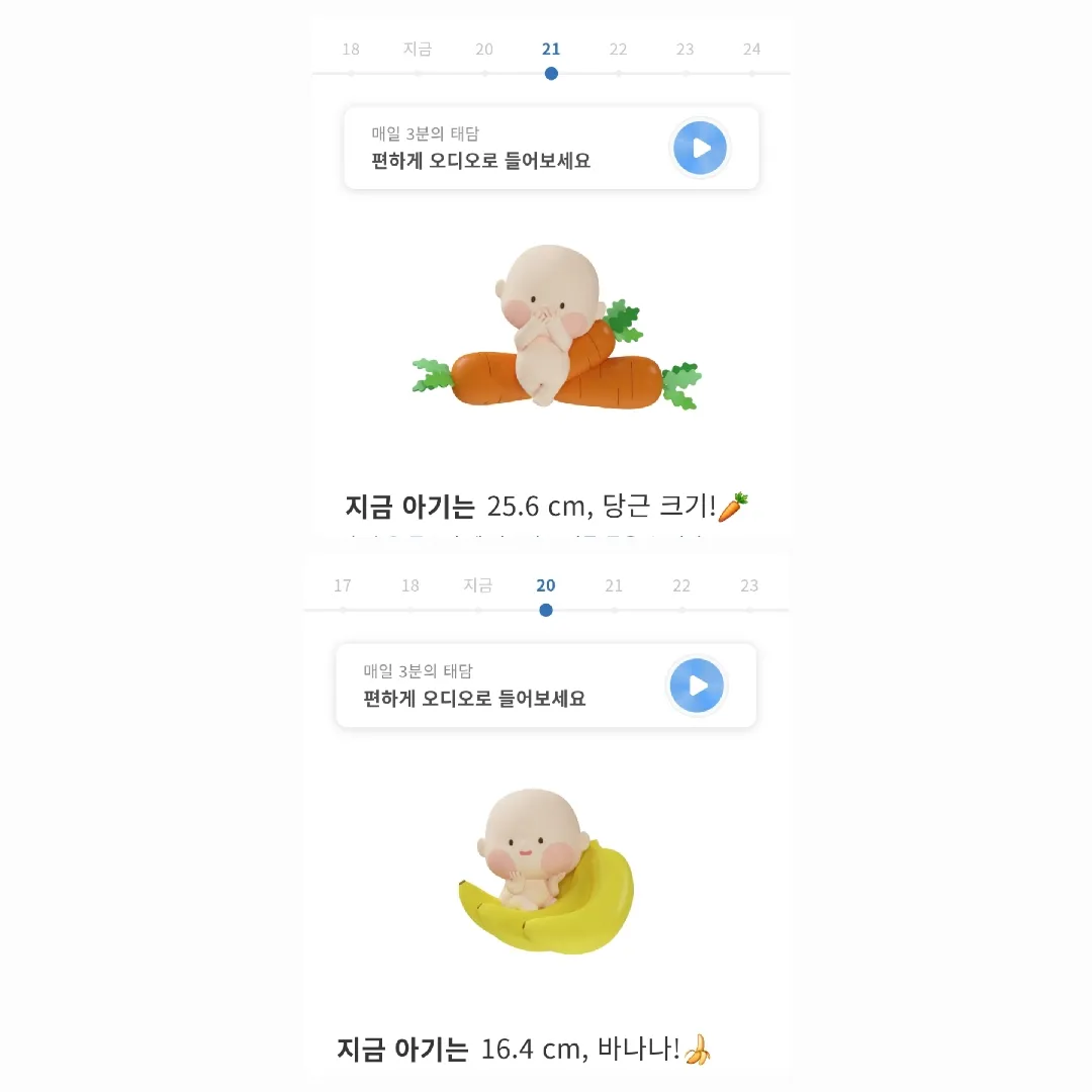 20주 21주 애기 크기 차이