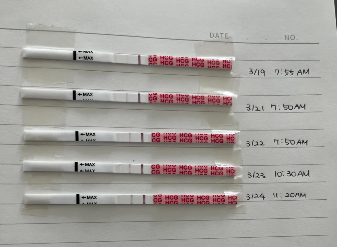 임테기 두줄 진하기